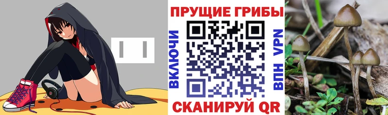 Галлюциногенные грибы Magic Shrooms  Купить  Никольск 