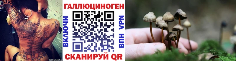 Галлюциногенные грибы Cubensis Никольск